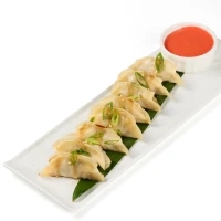 Beef and pork gyoza